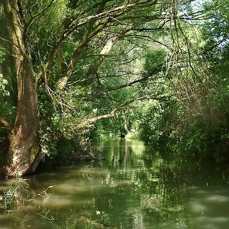 Termál Vendégszoba 3*