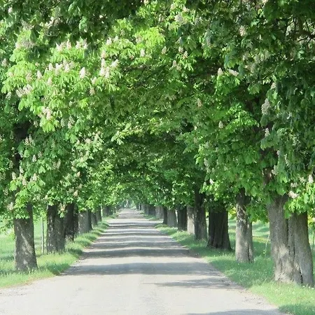 Termál Vendégszoba